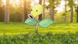 Bellsprout 100% perfect IV stats, shiny Bellsprout in Pokémon Go